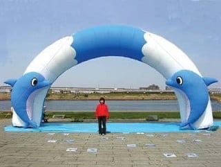 ドルフィンパラダイス６ｍNo.6‐12