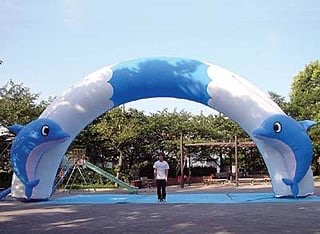 ドルフィンパラダイス８ｍNo.８‐３１