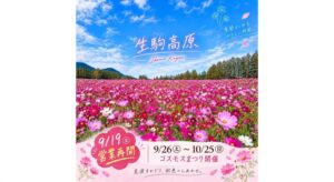 生駒高原コスモスまつり